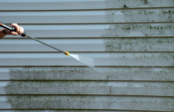 Best Fence Cleaning  in South Charleston, WV